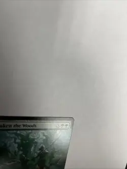 Awaken The Woods Extended Art Nonfoil Card #344 MTG LP - Image 3
