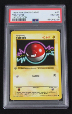 1999 Pokemon Game VOLTORB 1ST EDITION 67/102 PSA 8 NM-MT - Image 1