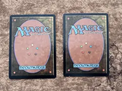 MTG 2x Warmth Tempest FBB Korean - Image 2