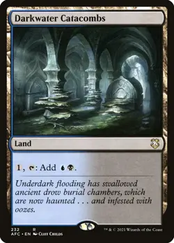 MTG Darkwater Catacombs ** Forgotten Realms Commander ** English (NM) - Image 1