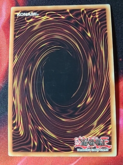 Yugioh Magicienne des Baies 1st Ed. MVP1-FRG14 Gold Rare - Francais Fr - Image 2
