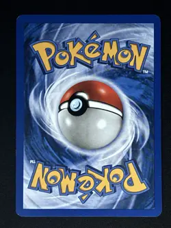 Skyridge Pokemon Card Lot - Image 2