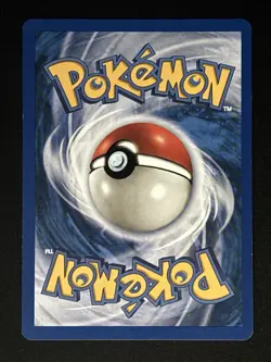 Skyridge Pokemon Card Lot - Image 4