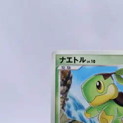 Turtwig Chimchar Piplup 027 028 029/DP-P McDonald's Promo Pokemon Card Japanese - Image 3