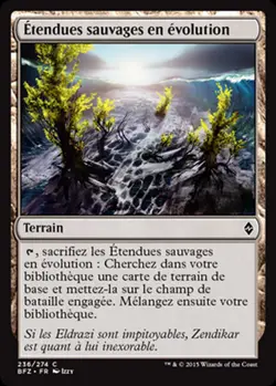 MRM English 4x Ctendues sauvages en Cvolution (Evolving Wilds) MTG magic BFZ - Image 1