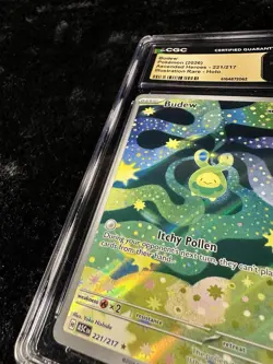Pokemon Ascended Heroes Budew 221/217 Illustration Rare Holo CGC PRISTINE 10 - Image 3