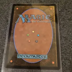 MTG - Spider-Punk - Marvel's Spider-Man - (Rare/Legendary Creature) 2025 NEW - Image 4