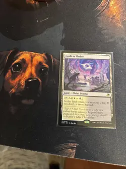 Mtg Godless Shrine - Edge of Eternities + Bonus Foils - Image 1