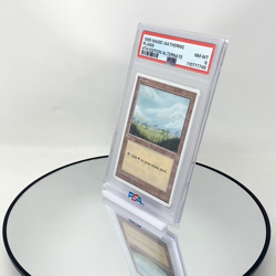 MTG Plains (365) - PSA 8, NM-Mint, English Alternate Fourth Edition - Image 2