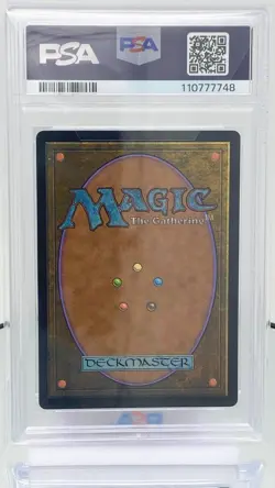 MTG Plains (365) - PSA 8, NM-Mint, English Alternate Fourth Edition - Image 4