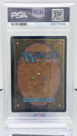 MTG Swamp (371) - PSA 8, NM-Mint, English Alternate Fourth Edition - Image 4