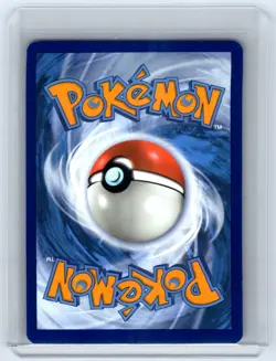 Team Rocket's Wobbuffet Holo Promo SV: Scarlet & Violet Promo Cards 203 NM - Image 2