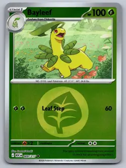 Bayleef (Energy Symbol Pattern) 009/217 Ascended Heroes Pokemon Reverse Holo NM - Image 1