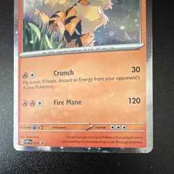 Arcanine 011 Cosmos Holo Black Star Promo Pokemon TCG - Image 3