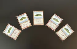 5 MTG Card - Alpha Island (B) Lands Lot - Image 1