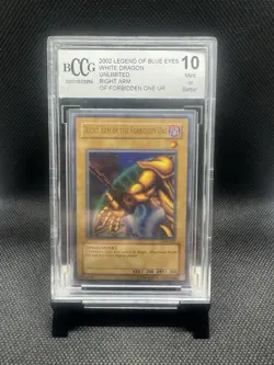 Right Arm Of The Forbidden One - Image 1