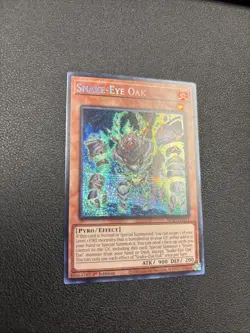 Yugioh! Snake-Eye Oak - MP24-EN111 - Prismatic Secret Rare - 1st Edition A6 - Image 2