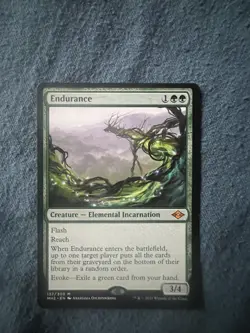Endurance Modern Horizons 2 Regular - Image 1