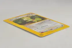 Pokemon 4 Set Kecleon Celebi Ho-Oh Rapidash 001 007 010 011/P Promo Japanese MP - Image 5