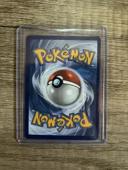 Pokemon TCG: First Partner Illustration Series 2 Galar Region Set - Image 3