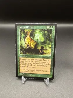 Natural Order Visions Regular mtg HP - Image 1