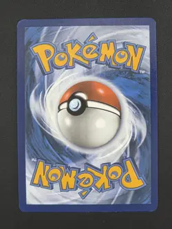 Lucario V - SWSH213 Promo Pokemon TCG SWSH: Sword & Shield Promo Cards NM - Image 2