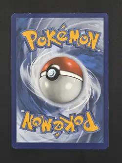 Greninja Star SWSH144 Promo Pokemon TCG SWSH: Sword & Shield Promo Cards LP - Image 2