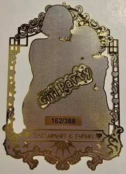 Tatsumaki & Fubuki Sexy Anime Bikini Waifu Metal Card - Image 1