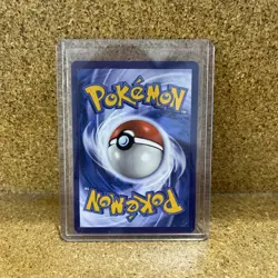 Pokemon Turtwig Galarian Gallery Holo Rare GG31/GG70 Crown Zenith 2023 TCG NM - Image 2
