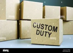 Custom Fees One Piece Grevin +Tracking Number - Image 1