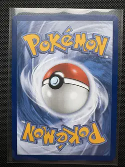 Pokemon TCG First Partner Illustration Collection Series 1 Kanto Starter Cards - Image 3