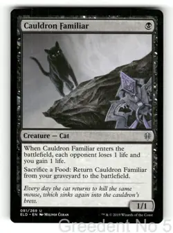 Cauldron Familiar 81 Uncommon Throne of Eldraine Magic: The Gathering LP - Image 1