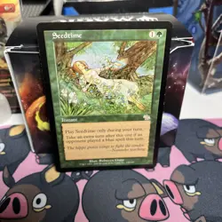 Seedtime Judgment Regular - Image 3