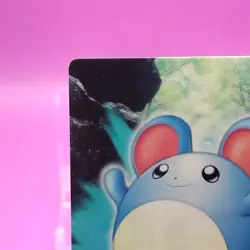 Marill Pokemon Card Zukan Advanced Generation Japanese Nintendo Rare No.227 a - Image 3