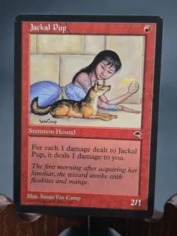 Jackal Pup Tempest MTG Regular Lightly Played (CD1968) - Image 1