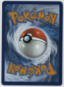 Pokemon - Pidgeotto 208/197 Illustration Rare Holo - SV03: Obsidian Flames - NM - Image 2