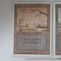 Magic The Gathering Unlimited Edition Swamps X 5 - Image 2