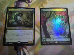 1x Kaseto, Orochi Archmage & Forest Year Of The Snake Japanese MTG NM - Image 1