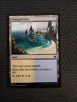 mtg tranquil cove foundations - Image 1