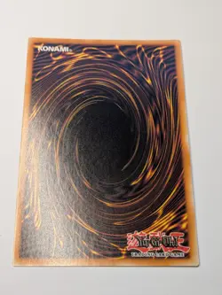 PACK FRESH - Dracotail Phryxul- DOOD-EN023 - Secret Rare - 1st Ed NM | Yugioh - Image 5