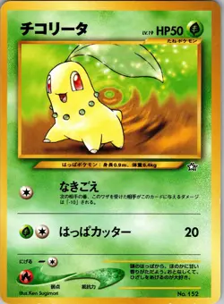 Chikorita Neo Premium File 1 Pokemon NM - Image 1