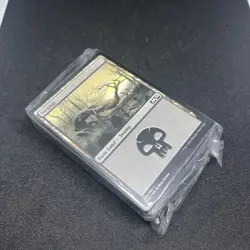 MTG Swamp Basic Land Bundle Lot Pack 80x Cards - Image 1
