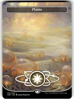 Plains (235) (Borderless) Unfinity Regular MTG - Image 1