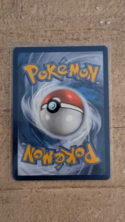 Wingull 203/091 - S&V Paldean Fates Holo Shiny Rare Pokemon TCG - Image 2