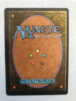 Mtg Carte Magic Fbb Foreign Black border Wheel of Fortune French LP/MP - Image 3