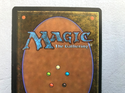 Mtg Carte Magic Fbb Foreign Black border Wheel of Fortune French LP/MP - Image 5