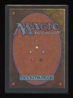 Taiga - Revised 1994 - Magic the Gathering - Image 2