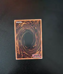 Snake-Eyes Doomed Dragon (Secret Rare) RA05-EN039 Rarity Collection 5 Yu-Gi-Oh - Image 2
