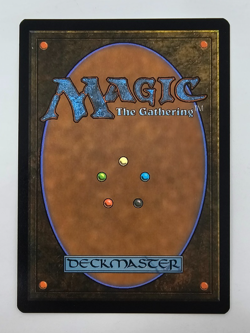 Tom Bombadil - Lord of the Rings - MTG - Surge Foil - NM - Image 2