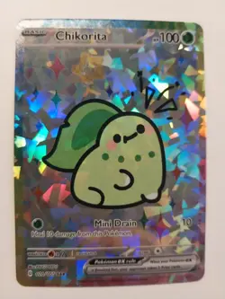 Derpy Pokemon Fan Made Holo Display Cards - Derpy CHIKORITA - Image 1